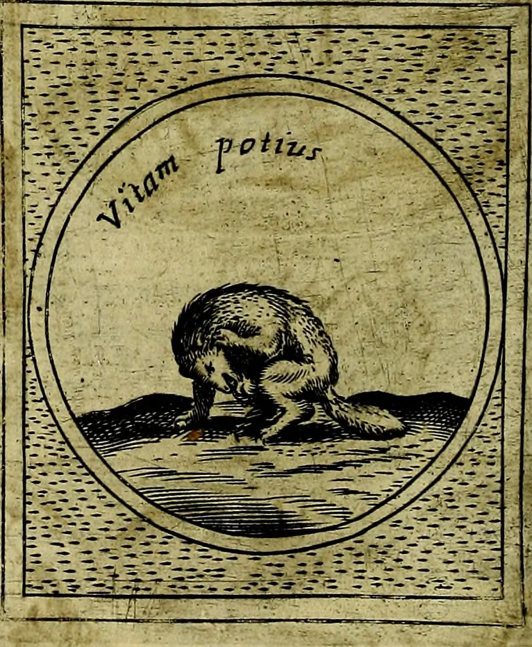 An illustration from Teatro d'imprese, 1623, leaf 377