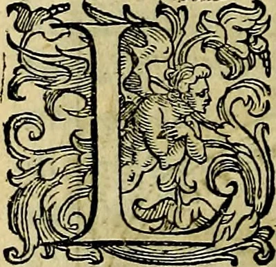 An illustration from Teatro d'imprese, 1623, leaf 391