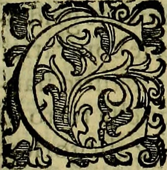 An illustration from Teatro d'imprese, 1623, leaf 392