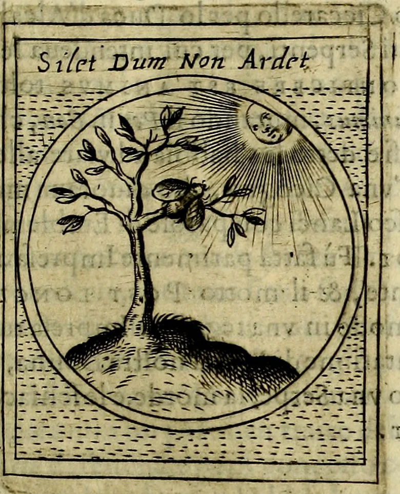 An illustration from Teatro d'imprese, 1623, leaf 398