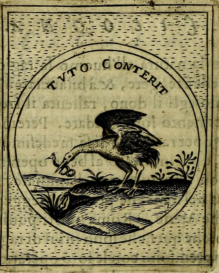 An illustration from Teatro d'imprese, 1623, leaf 399