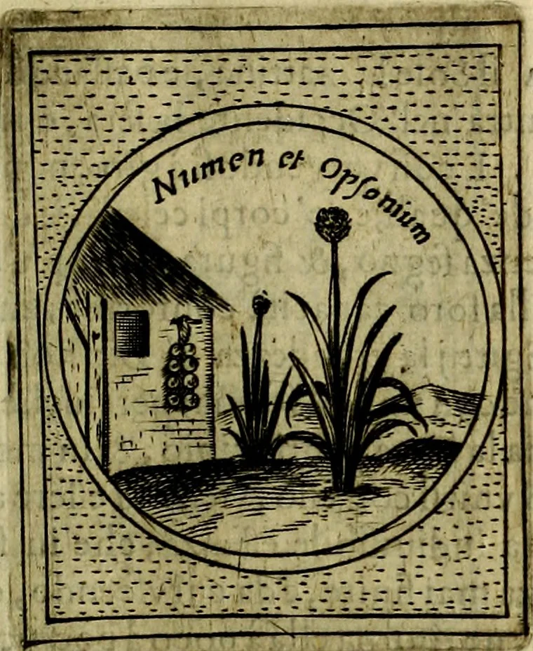 An illustration from Teatro d'imprese, 1623, leaf 408