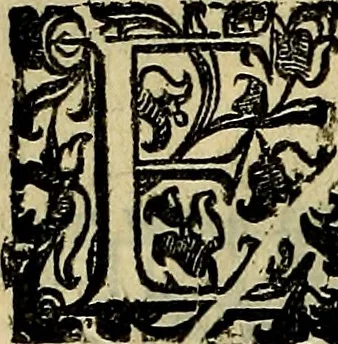 An illustration from Teatro d'imprese, 1623, leaf 411