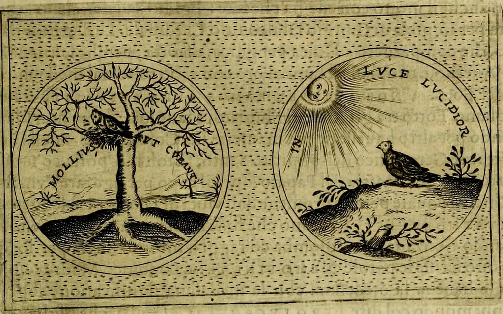 An illustration from Teatro d'imprese, 1623, leaf 416