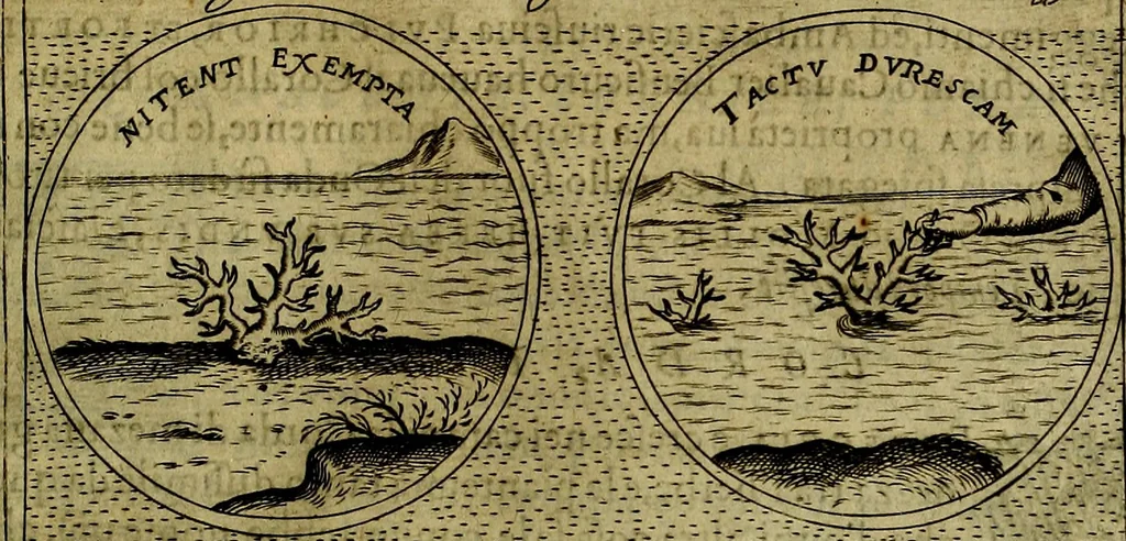 An illustration from Teatro d'imprese, 1623, leaf 428