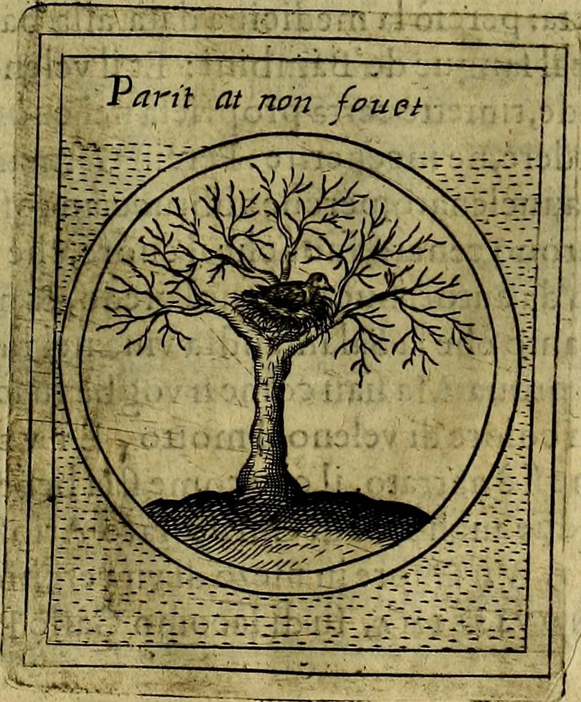 An illustration from Teatro d'imprese, 1623, leaf 448