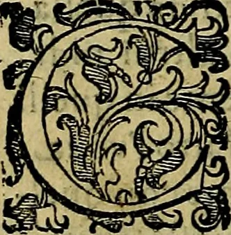 An illustration from Teatro d'imprese, 1623, leaf 449