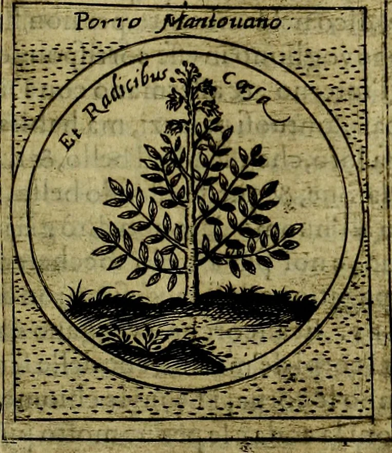 An illustration from Teatro d'imprese, 1623, leaf 466