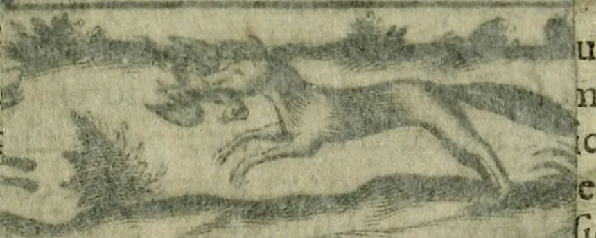 An illustration from Teatro d'imprese, 1623, leaf 482