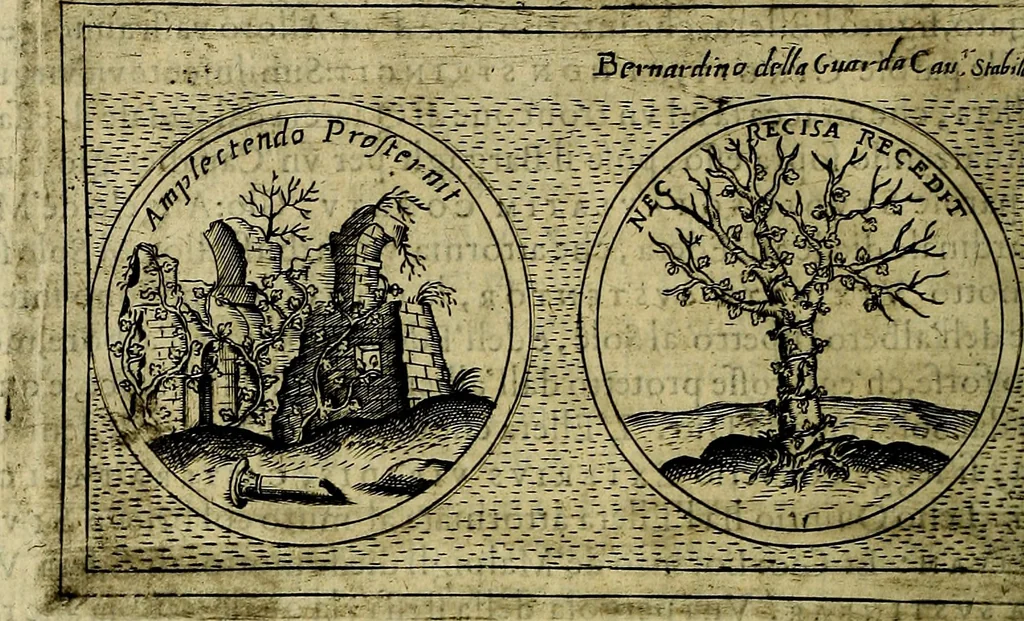 An illustration from Teatro d'imprese, 1623, leaf 487