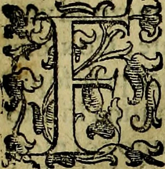 An illustration from Teatro d'imprese, 1623, leaf 502