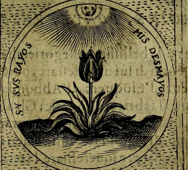 An illustration from Teatro d'imprese, 1623, leaf 506