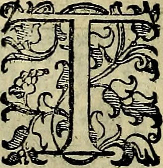 An illustration from Teatro d'imprese, 1623, leaf 507