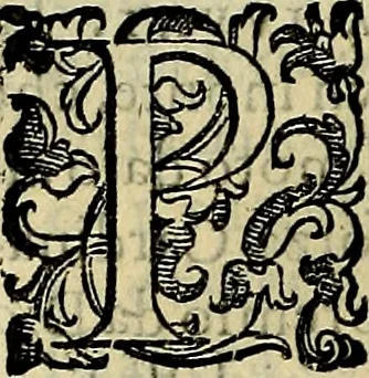 An illustration from Teatro d'imprese, 1623, leaf 521