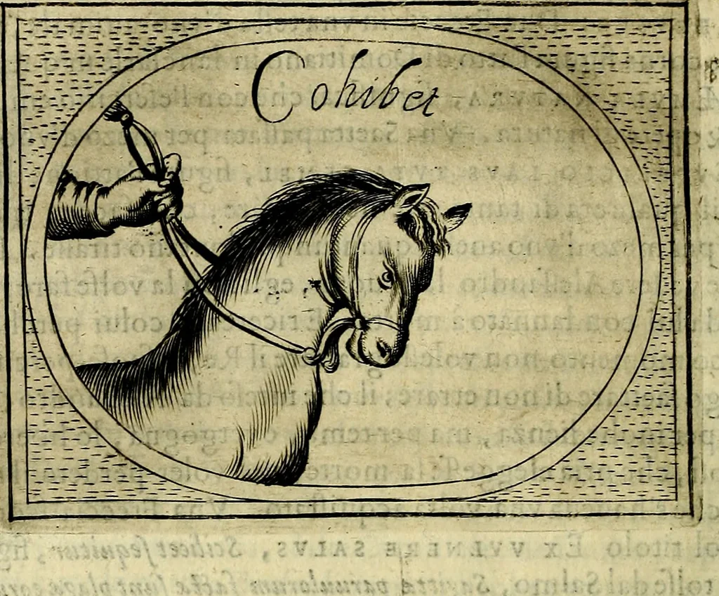 An illustration from Teatro d'imprese, 1623, leaf 523