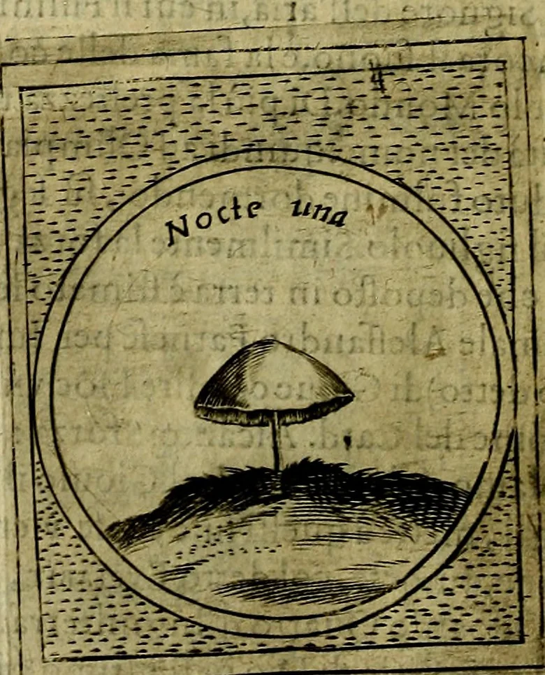 An illustration from Teatro d'imprese, 1623, leaf 527
