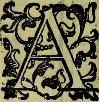An illustration from Teatro d'imprese, 1623, leaf 534