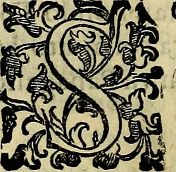 An illustration from Teatro d'imprese, 1623, leaf 535