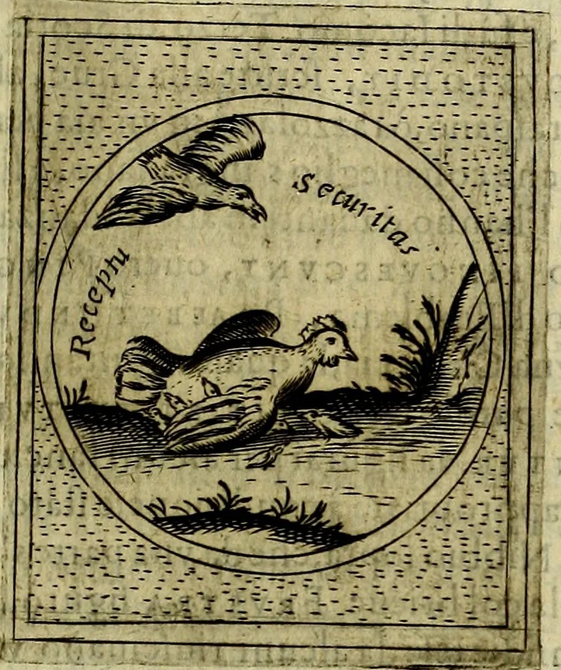 An illustration from Teatro d'imprese, 1623, leaf 538