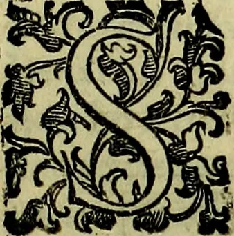 An illustration from Teatro d'imprese, 1623, leaf 538
