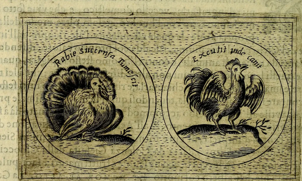 An illustration from Teatro d'imprese, 1623, leaf 539