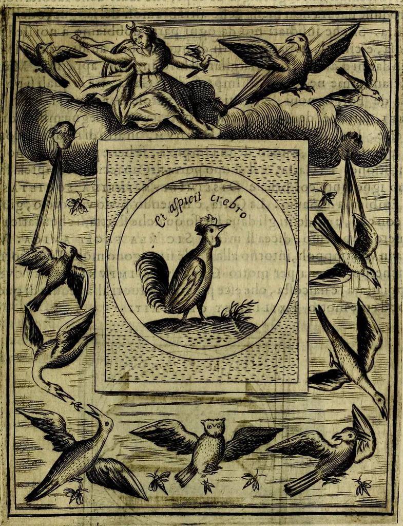 An illustration from Teatro d'imprese, 1623, leaf 542