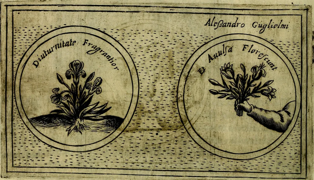 An illustration from Teatro d'imprese, 1623, leaf 549