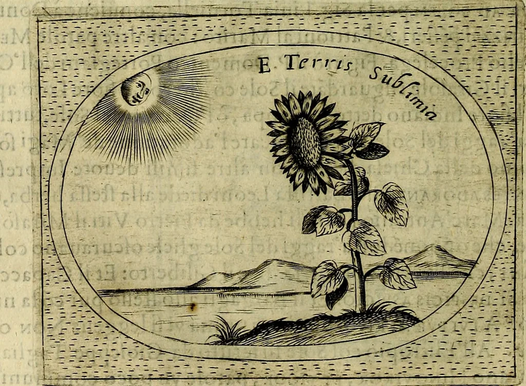 An illustration from Teatro d'imprese, 1623, leaf 553