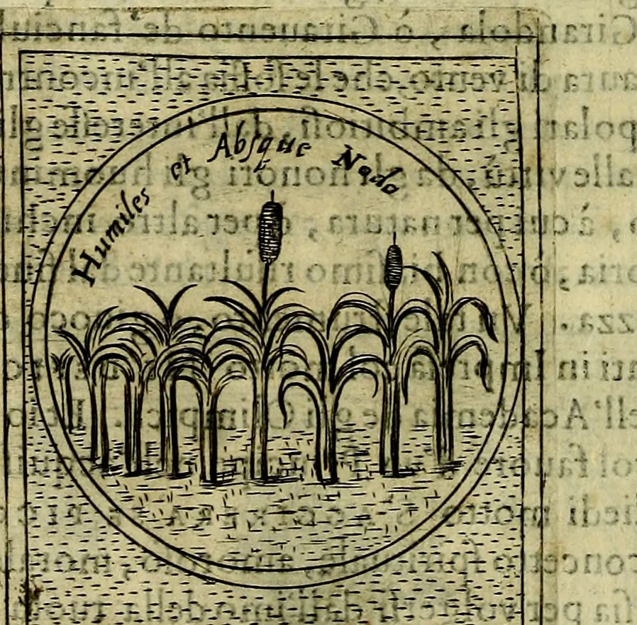 An illustration from Teatro d'imprese, 1623, leaf 555