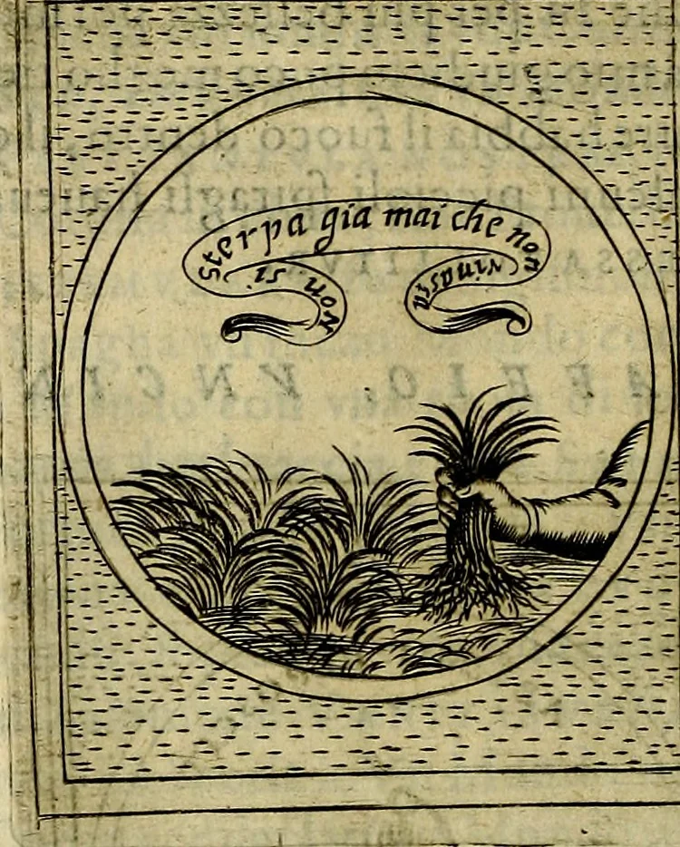 An illustration from Teatro d'imprese, 1623, leaf 563