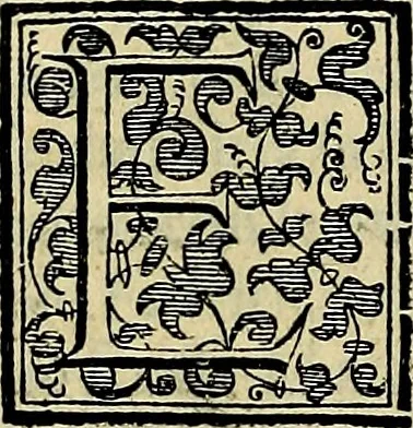 An illustration from Teatro d'imprese, 1623, leaf 563