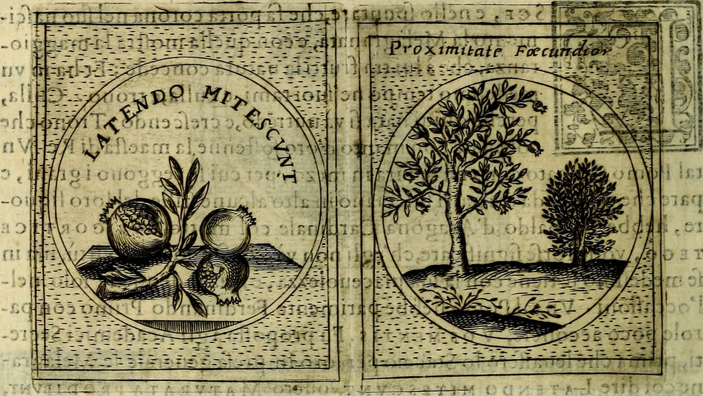 An illustration from Teatro d'imprese, 1623, leaf 565