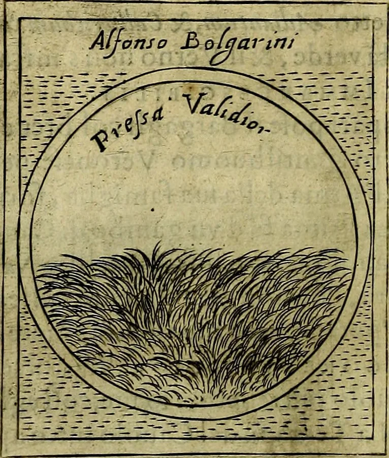 An illustration from Teatro d'imprese, 1623, leaf 577
