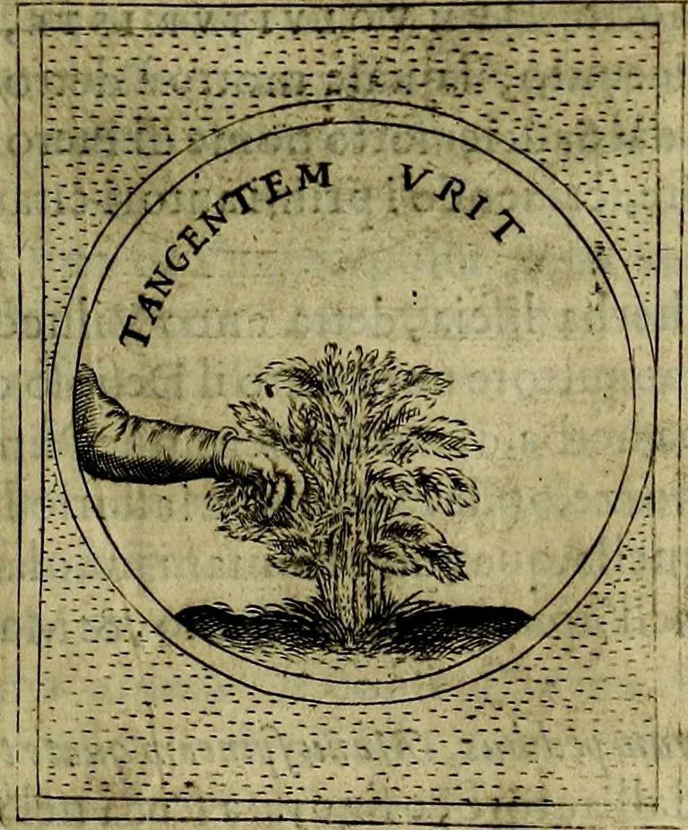An illustration from Teatro d'imprese, 1623, leaf 578