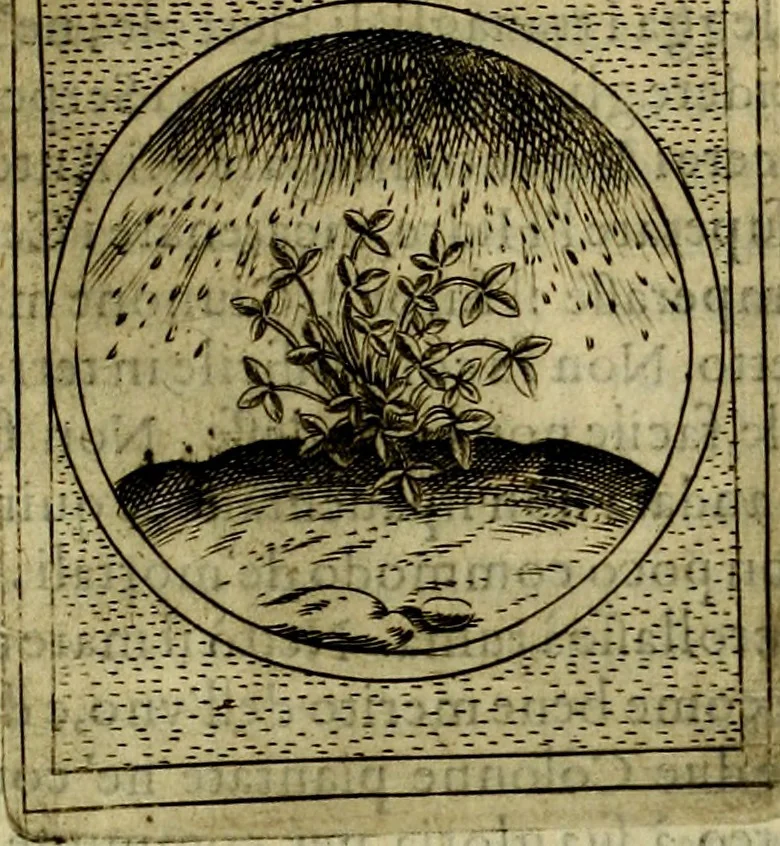 An illustration from Teatro d'imprese, 1623, leaf 580