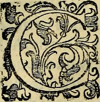 An illustration from Teatro d'imprese, 1623, leaf 581
