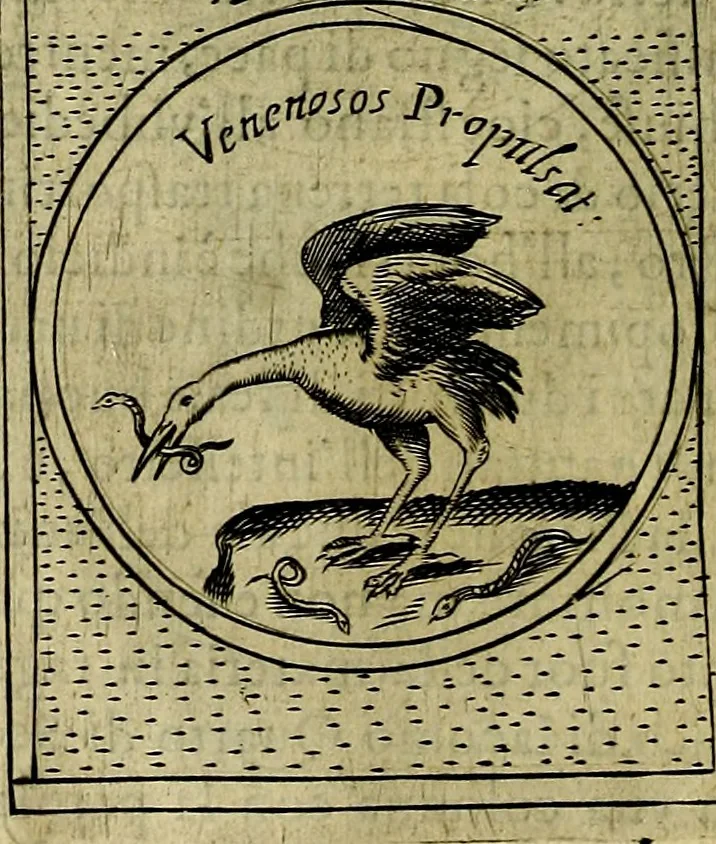 An illustration from Teatro d'imprese, 1623, leaf 591