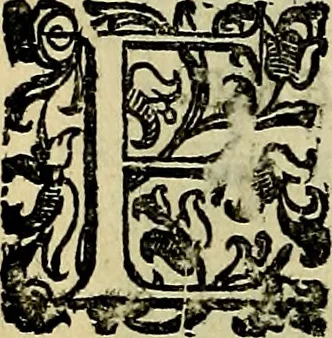 An illustration from Teatro d'imprese, 1623, leaf 595