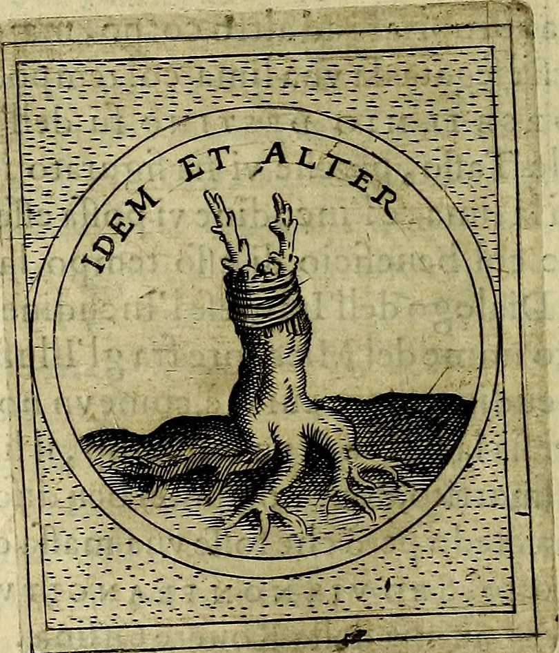 An illustration from Teatro d'imprese, 1623, leaf 597