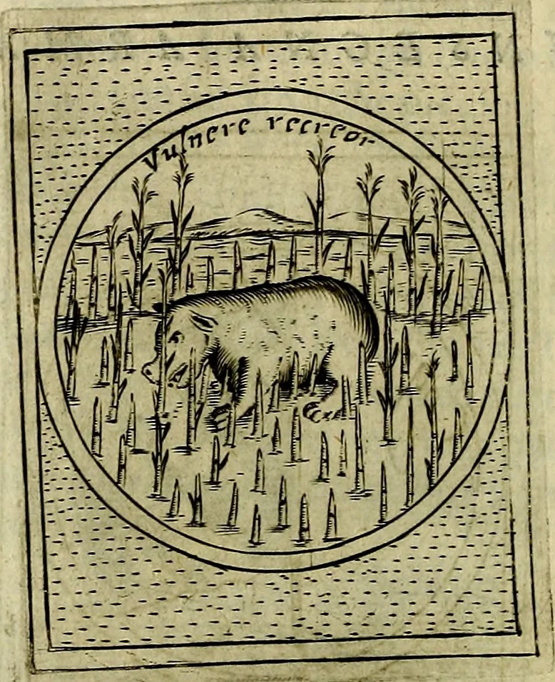 An illustration from Teatro d'imprese, 1623, leaf 599
