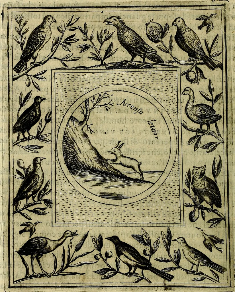 An illustration from Teatro d'imprese, 1623, leaf 627