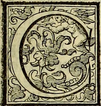 An illustration from Teatro d'imprese, 1623, leaf 64