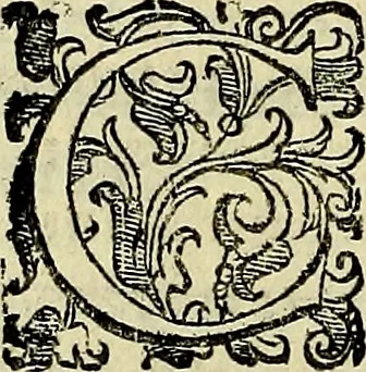 An illustration from Teatro d'imprese, 1623, leaf 641