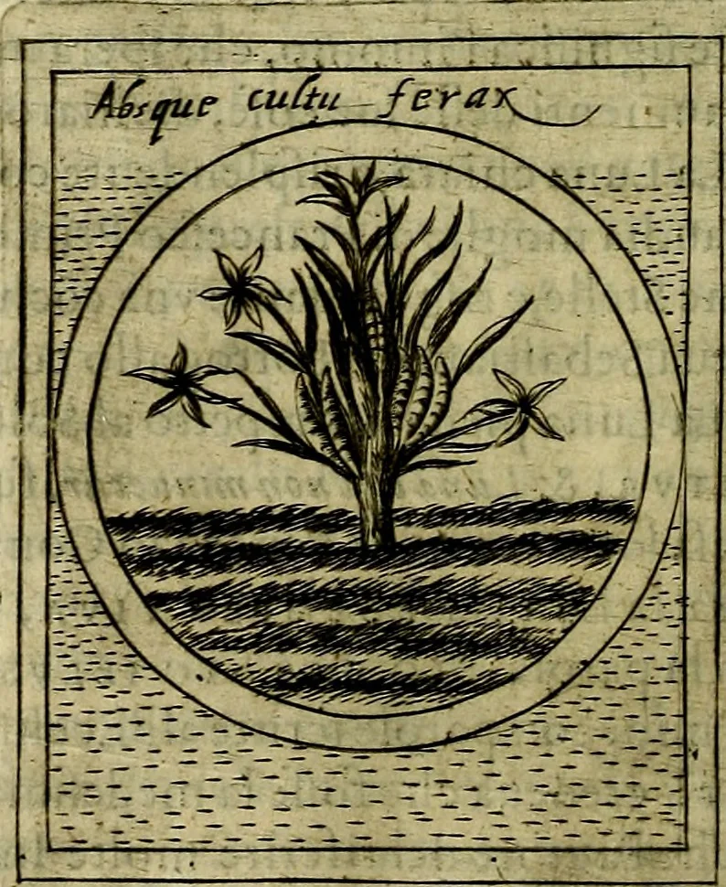 An illustration from Teatro d'imprese, 1623, leaf 647