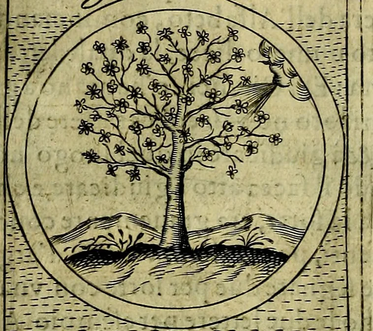 An illustration from Teatro d'imprese, 1623, leaf 651