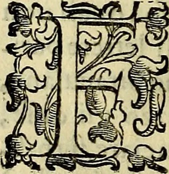 An illustration from Teatro d'imprese, 1623, leaf 651