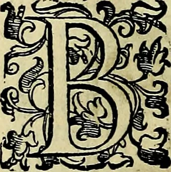 An illustration from Teatro d'imprese, 1623, leaf 661