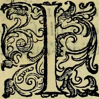 An illustration from Teatro d'imprese, 1623, leaf 666