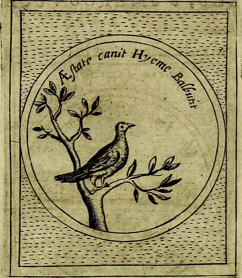 An illustration from Teatro d'imprese, 1623, leaf 667