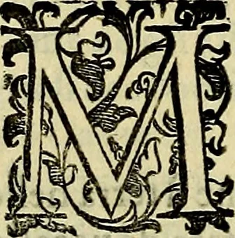An illustration from Teatro d'imprese, 1623, leaf 667